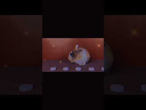 🌸Баффи в детстве💖🐰