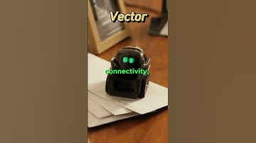 Can Vector play games? #vector #vectorrobot #robot #vectors #ai #shorts #viral #video #trending #usa