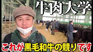 北海道早来市場の黒毛和牛の競り見学！【野外授業編】