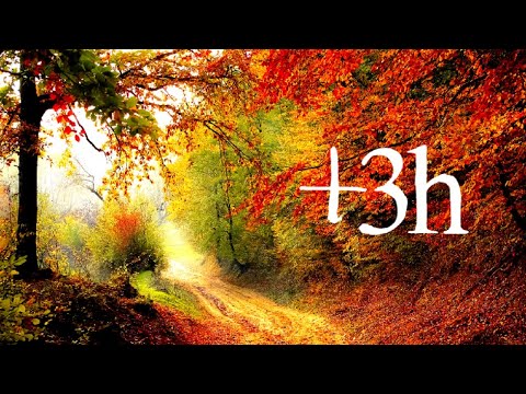 Relax Meditate مبادرة الاسترخاء հանգստի İstirahət Entspannungs Lõõgastumisalgatus Détente დასვენების