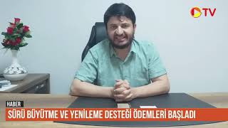 Osmaniyeli 371 Yetiştiriciye Sürü Büyütme Ve Yenileme Desteği
