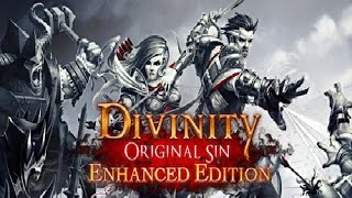 Divinity: Original Sin - Enhanced Edition on Nvidia GeForce GTX 850M 2GB DDR3 (Asus N550JK Notebook)