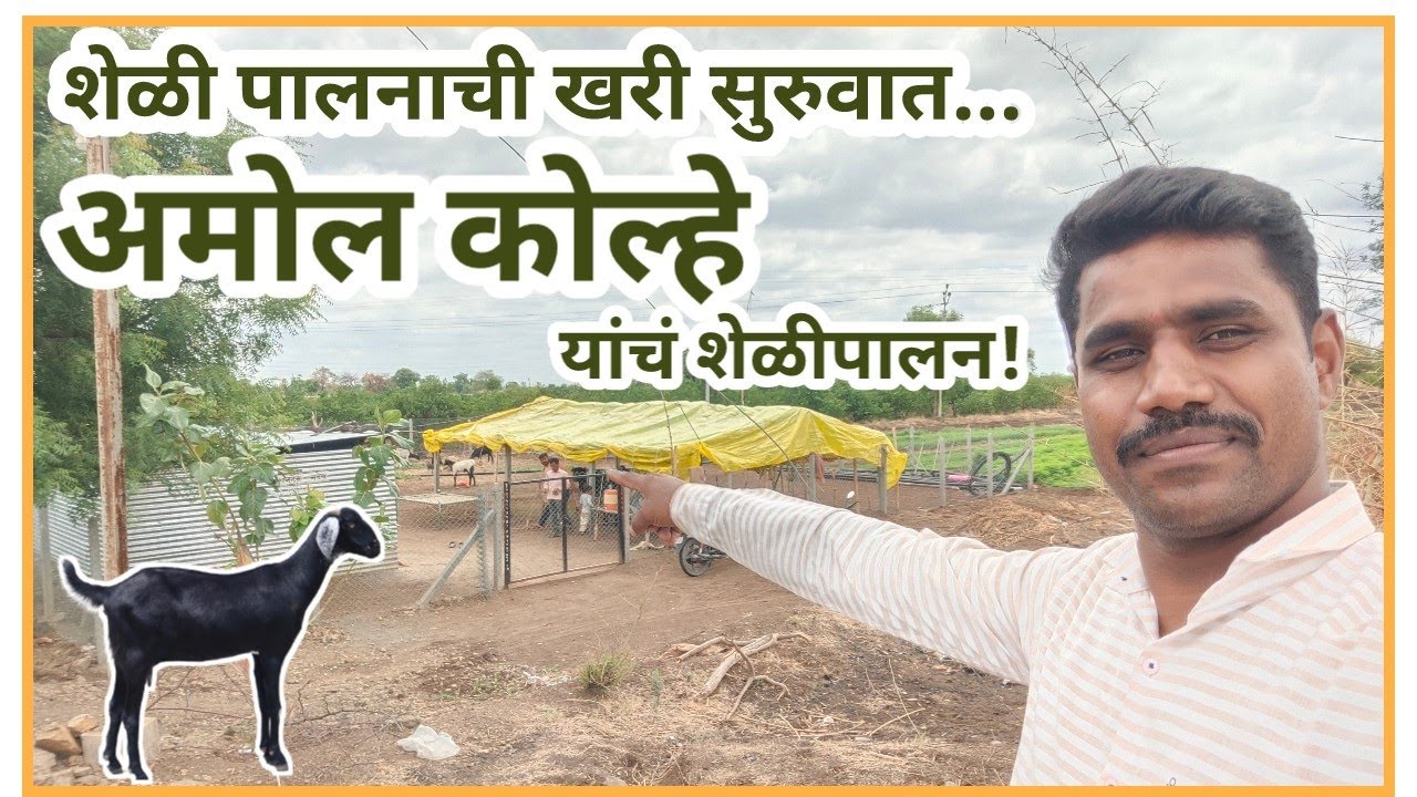 अमोल कोल्हे यांची शेळी पालनाची साधी सुरुवात | साधा शेड आणि अर्धबंदिस्त शेळीपालन. #shelipalan