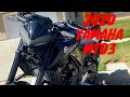 2020 Yamaha MT03 first canyon ride | chasing an R6