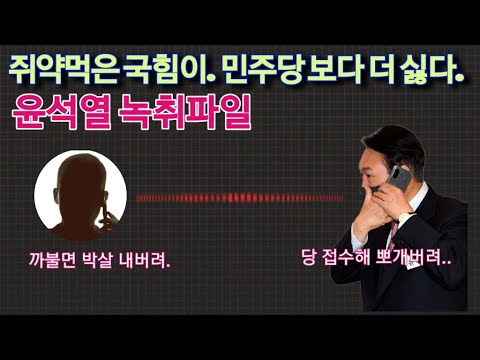 윤석열.쥐약먹은 국힘