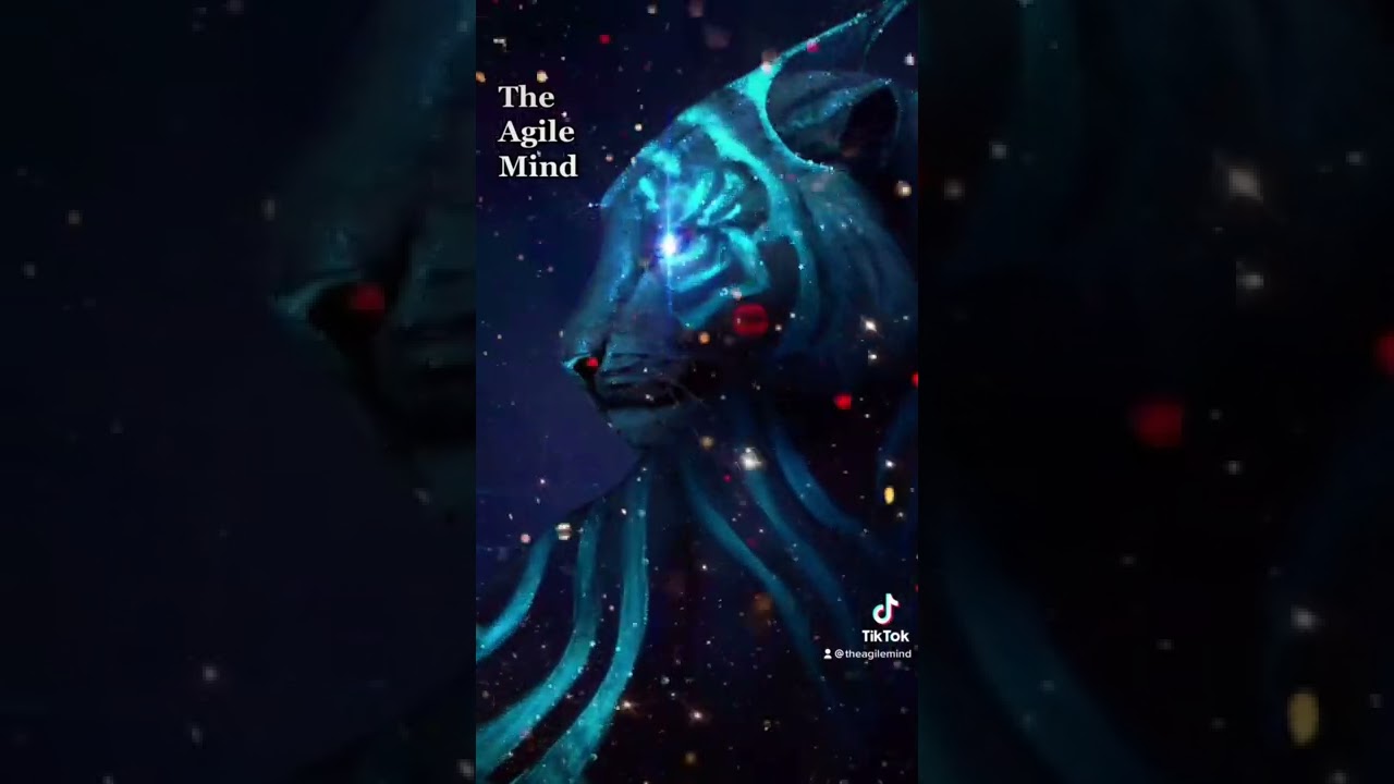 Tigers Do Not Lose Sleep..