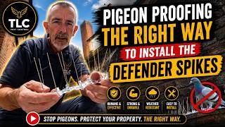 Installing Defender Spikes Properly To Stop Pigeons