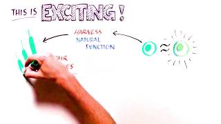 Celebrity Spinal Cord Injury and Lineage's OPC1 Cell Therapy Wealth