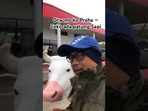 Otw mo ke Praha -Ceko ada patung sapi