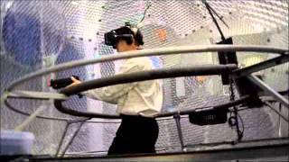 Virtusphere