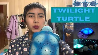Twilight Turtle Review | Rose Clare