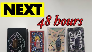 The NEXT 48 HOURS. Timeless Pick a card tarot reading.