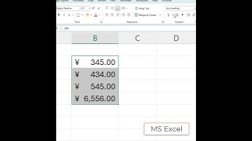 MS Excel Valuta