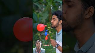 balloon popping slingshot crafts #bamboo #diy #ceiling shot