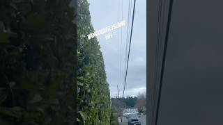 Walk or Fly ? VancouVER island #lifestyle #vancouverisland #life #outandabout #fly #walk