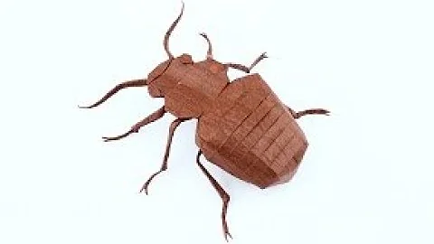 BED BUG by Damian Malicki - folding process and pr...