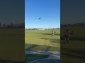Australian Magpie Swoops and Chases Boy Playing Football in Park