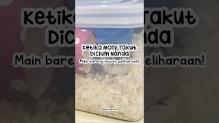 Dikasi Nama Molly atau Ninil? Hamster Peliharaan Nanda 😆 #idebermain #shorts #hamster