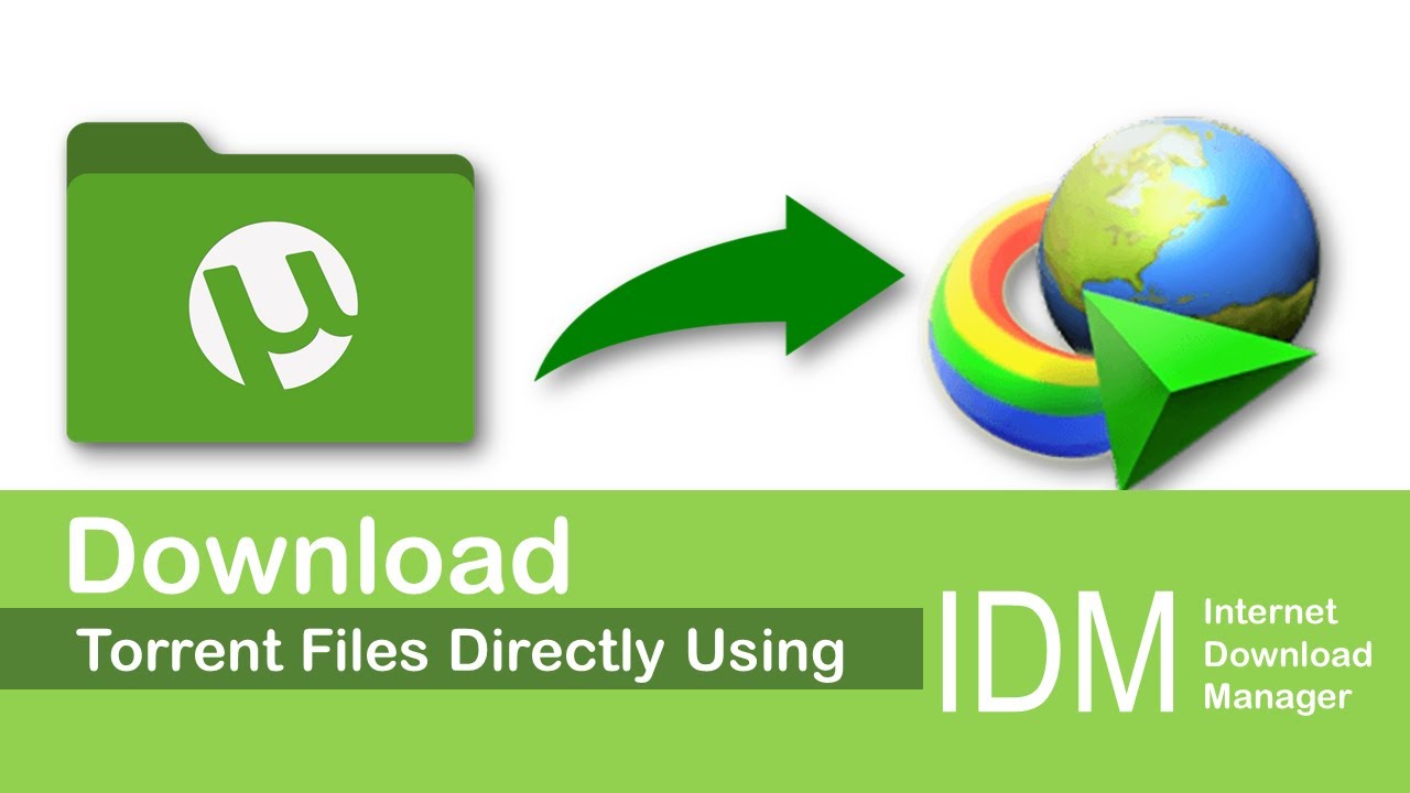 how to download files with idm