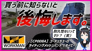 【３か月使ってみた】ワークマンメッシュパンツを使って感じた良い点悪い点【ワークマン】