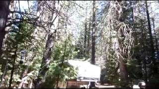 Camp dabs