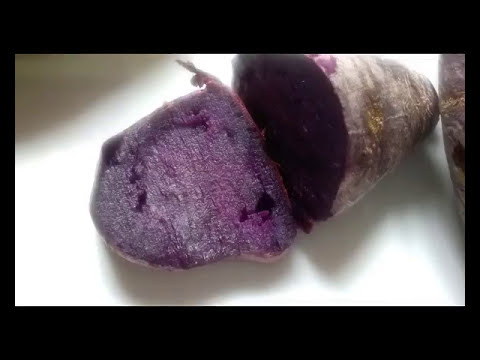 Vídeo: Batata Roxa