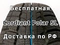 Cordiant Polar SL /// обзор