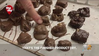 The Dig: Queens Candy Store Embraces The Holiday Season