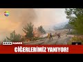 Ciğerlerimiz yanıyor!