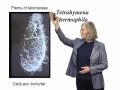 Elizabeth Blackburn (UCSF) Part 1: The Roles of Telomeres and Telomerase