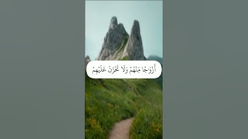 سورة الحجر [٨٨] القارئ:هزاع البلوشي
