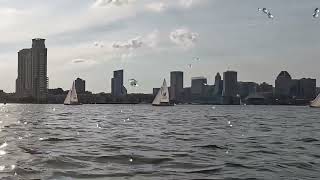 DSC TNR Race 1, 2026-06-11, J/22s in Baltimore Harbor, Force 2-3 winds