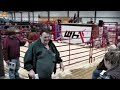 Wisconsin Hereford Association Spring Sale Fennimore WI Wisconsin Hereford Association Spring Sale Fennimore WI