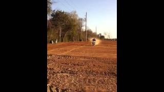 1985 Bw200 Back To Life