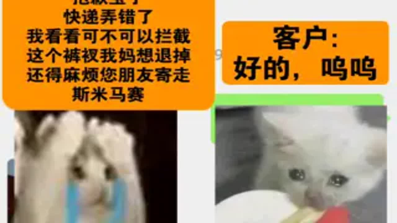 猫猫meme,震惊,某不知名小主播,居然给榜一寄裤衩 - YouTube