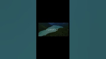 الحمدالله|استغفرالله 🌹🤍 #قرآن #قران_كريم #ياسر_الدوسري #تلاوة_خاشعة #راحة_نفسية