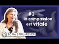 La Compassion est Vitale - Sofia Stril Rever