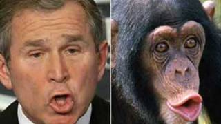 Epic Fail! Look alikes Bush and Chimpanzee