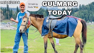 Gulmarg in May 11 2024 😱|| daily vlogs || Gulmarg in Summer || Teli Tanveer vlogs