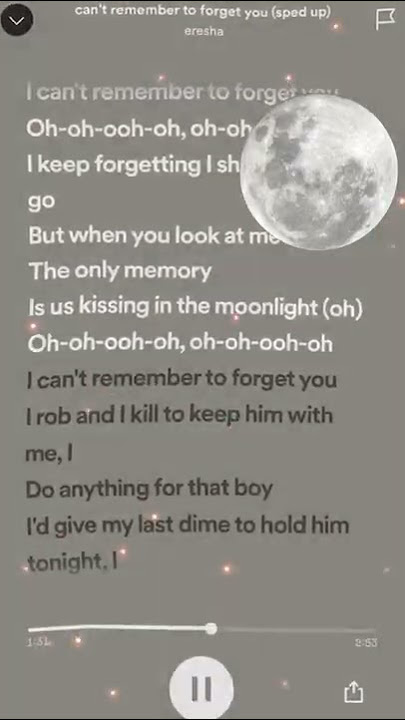 Can't Remember To Forget You-Speed Up (Is us kissing in the moonlight)