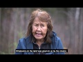 Dene Law Stories English Subtitles Dehcho First Nations Dene Law Stories English Subtitles Dehcho First Nations