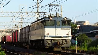75レ EF65 2093 2016/08/31