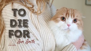Sam Smith - To Die For (Music Video) ft. Cute Cats