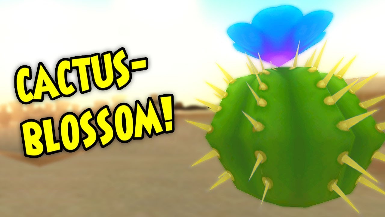 W101 Cactus Blossom Locations! YouTube