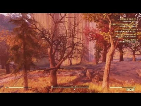 Best of Bethesda (Glitch Compilation)