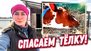 Приезд Ветеринара и Наши Планы на Весну | Молодая Ферма
