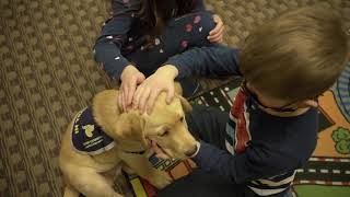 Dogs With Wings: Red Deer Puppy Raising Program Announcement
