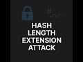 6 Hash Length Extension Attack Cryptography For Pentesters Arabic