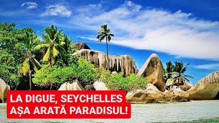 DESCOPERA VIATA CREOLA AUTENTICA - Cel mai FRUMOS si AUTENTIC loc din SEYCHELLES, LA DIGUE - Vlog 4