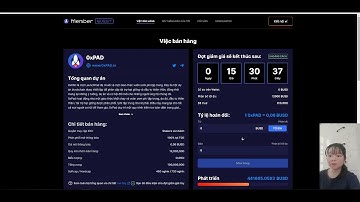 0xPad acts as a launch protocol and a decentralized incubator
